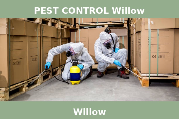 PEST CONTROL Willow